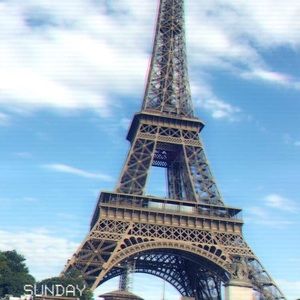 Meet your Posher, Daisy